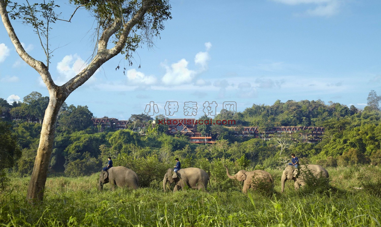 小区外景-1