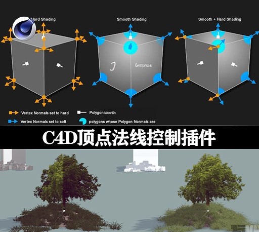 C4D顶点法线控制插件 Frostsof Vertex Normal Tool v1.05 R12-2024 Win/Mac-1